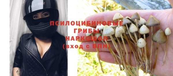 тгк Краснослободск