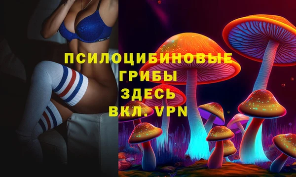 тгк Краснослободск