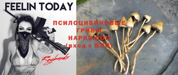 тгк Краснослободск