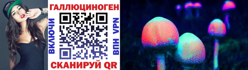 где можно купить наркотик  Ленинградская  Галлюциногенные грибы Psilocybine cubensis 
